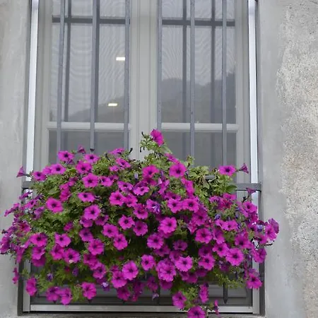 Couette-café Nonno Toni 3*