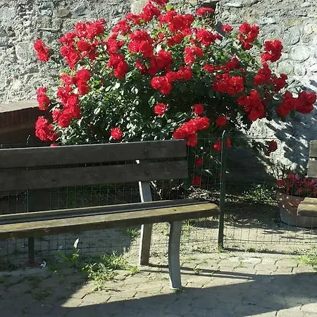 Nonno Toni Bed & Breakfast